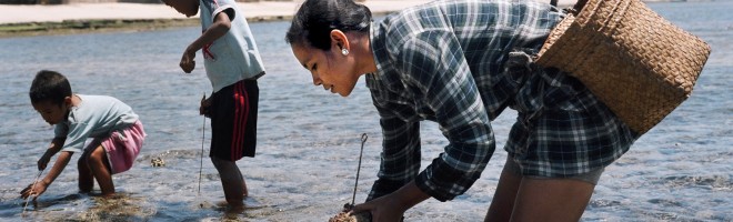 Searching for fish in Nino Konis Santana National Park, Timor-Leste, where the government is working to protect the reef which supports the livelihoods of thousands of people living on the coast.
